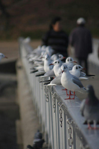 IMG_7479.jpg