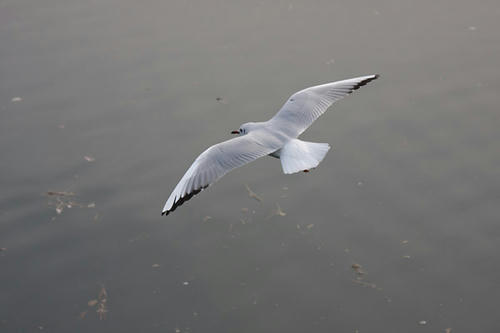 IMG_7490.jpg