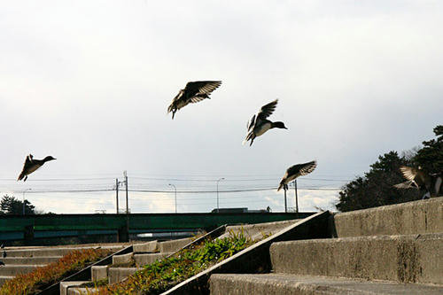 IMG_8474.jpg