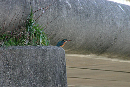 IMG_8489.jpg