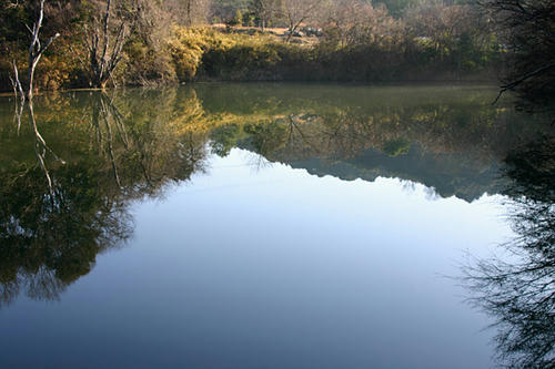 IMG_8505.jpg