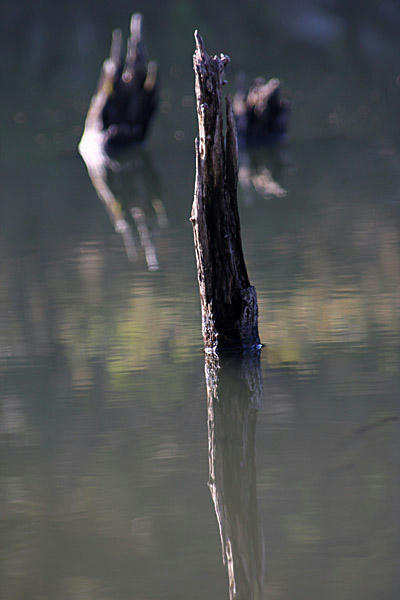 IMG_8524.jpg