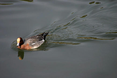 IMG_8542.jpg