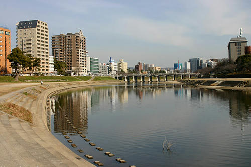 IMG_8556.jpg