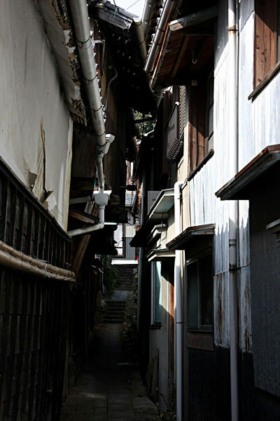 IMG_8600.jpg