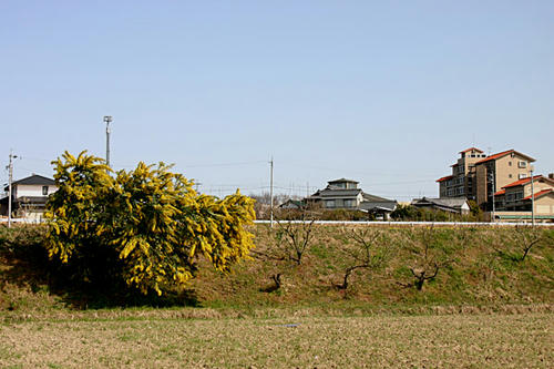 IMG_8682.jpg
