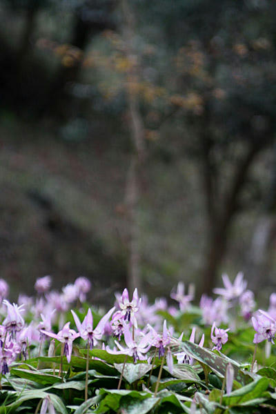 IMG_8693.jpg