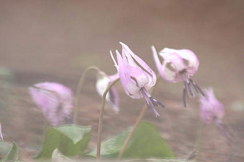 IMG_8699.jpg