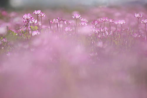 IMG_8831.jpg