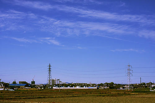 IMG_8956.jpg