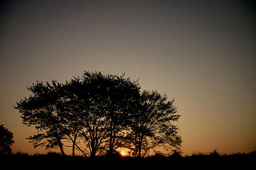 IMG_8743.jpg