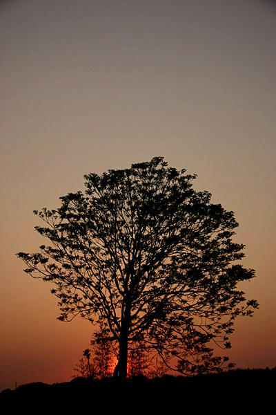 IMG_8758.jpg