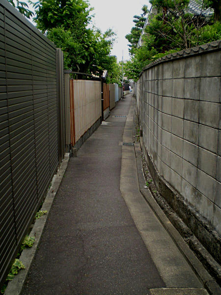 P5210091.jpg