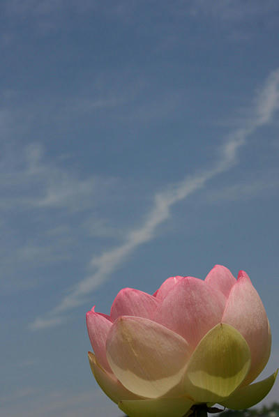 IMG_9292.jpg