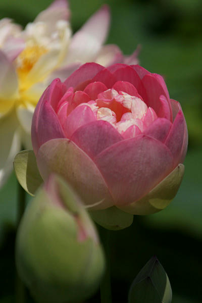 IMG_9317.jpg