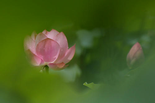 IMG_9410.jpg