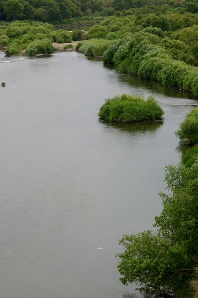 IMG_7759.jpg