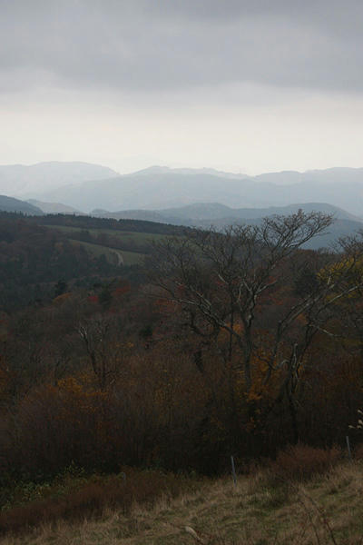 IMG_0052.jpg