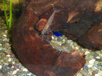 s-CIMG0373.jpg