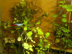 s-CIMG0376.jpg