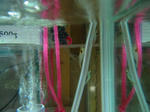 s-IMG_0200.jpg