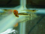 s-IMG_0202.jpg
