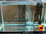 s-IMG_0205.jpg