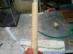 s-CIMG1748.jpg