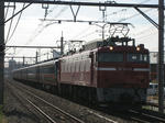 s-IMG_2663.jpg