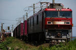s-IMG_4497.jpg