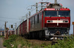 s-IMG_4525.jpg