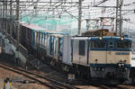 n-IMG_4774.jpg