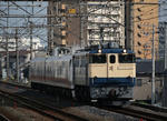 n-IMG_5022-1.jpg