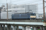 n-IMG_5269.jpg