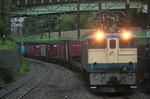 n-IMG_5887.jpg