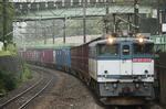 n-IMG_6233.jpg
