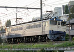 n-IMG_6459.jpg