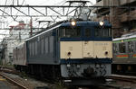 n-IMG_6703.jpg