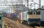 n-IMG_6761.jpg