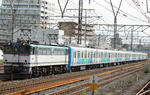 n-IMG_6796.jpg