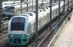 n-IMG_6953.jpg