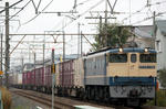 n-IMG_7006.jpg