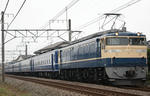 n-IMG_7029.jpg