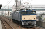 n-IMG_7051.jpg