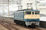 n-IMG_7078.jpg