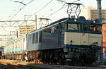 n-IMG_7242.jpg