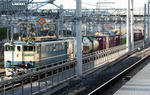 n-IMG_7289.jpg