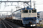 n-IMG_7302.jpg