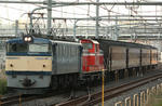 n-IMG_7331.jpg
