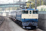 n-IMG_7368.jpg